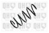 QUINTON HAZELL QCS5242 Coil Spring